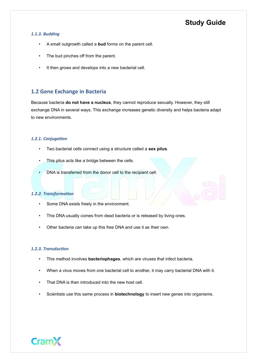 Plant Biology - Prokaryotes and Viruses, page 2