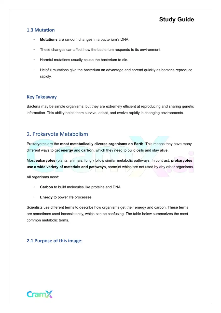 Plant Biology - Prokaryotes and Viruses, page 3