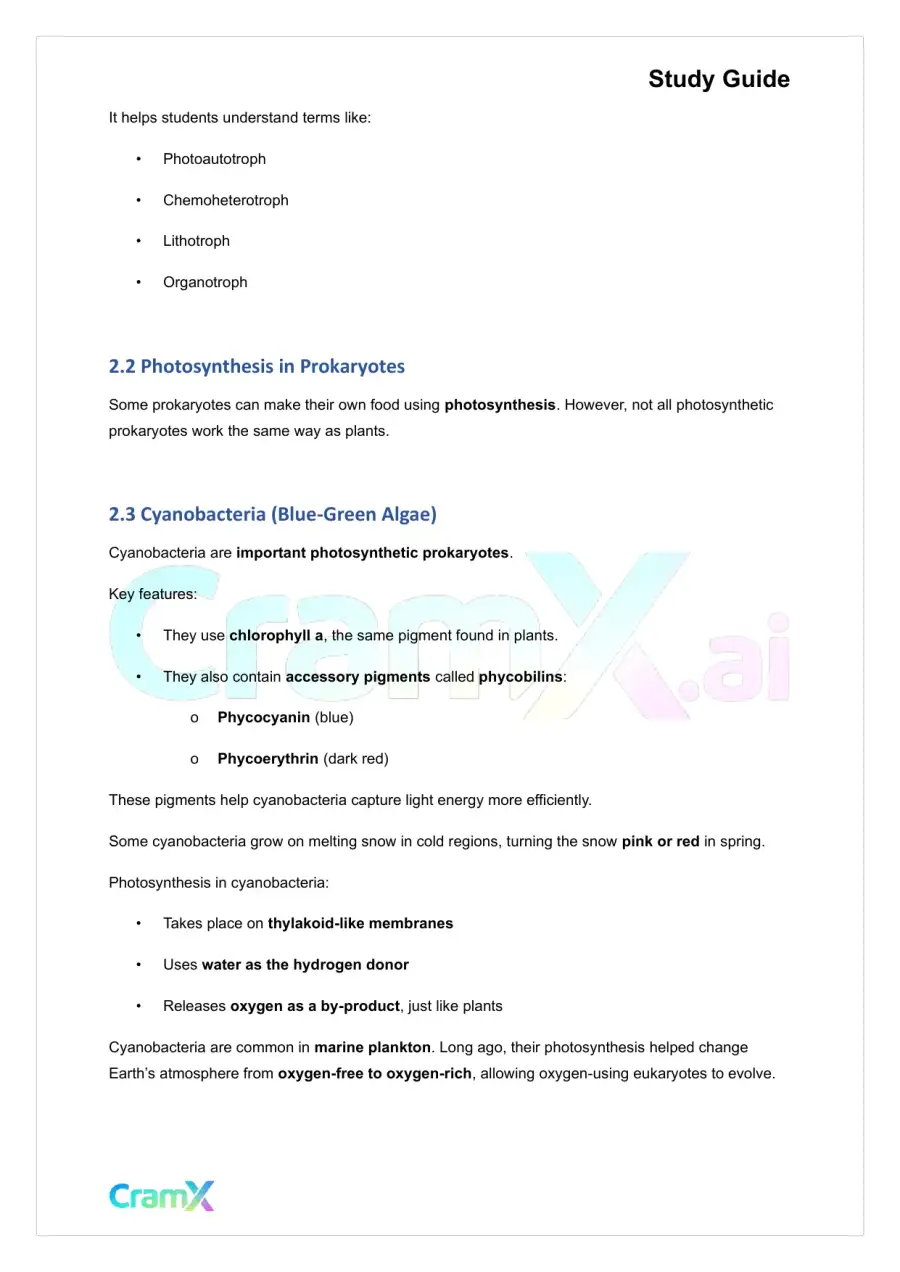Plant Biology - Prokaryotes and Viruses, page 5