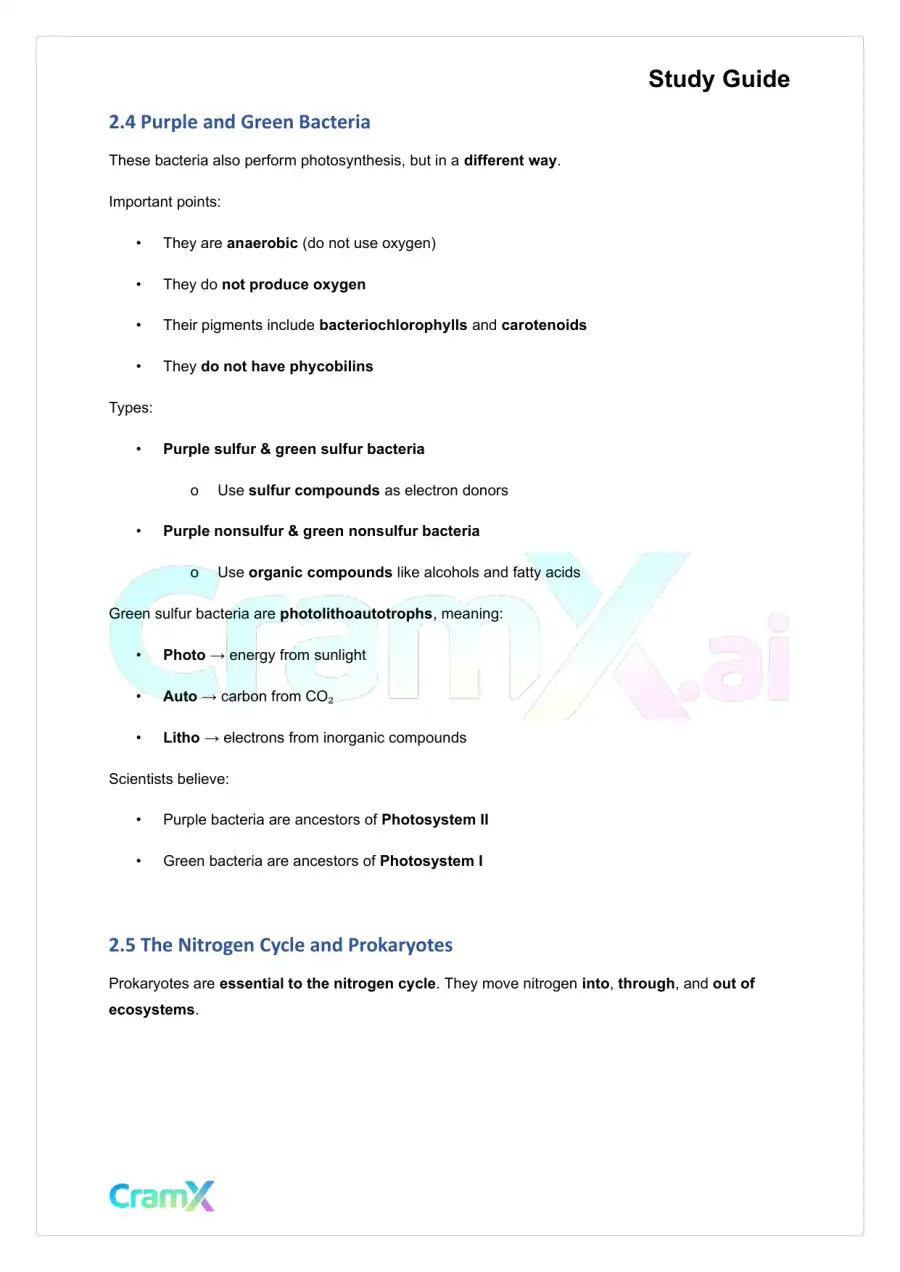 Plant Biology - Prokaryotes and Viruses, page 6