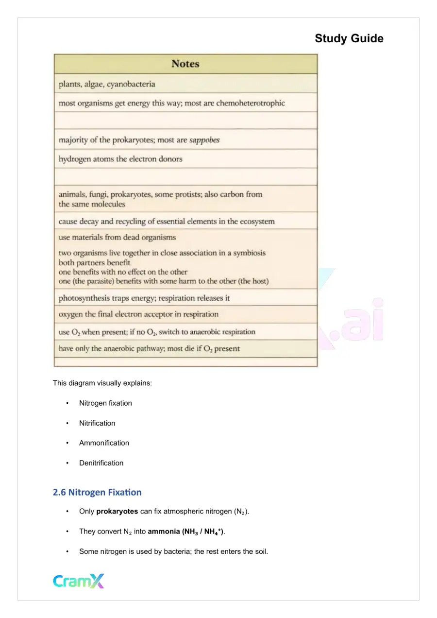 Plant Biology - Prokaryotes and Viruses, page 7