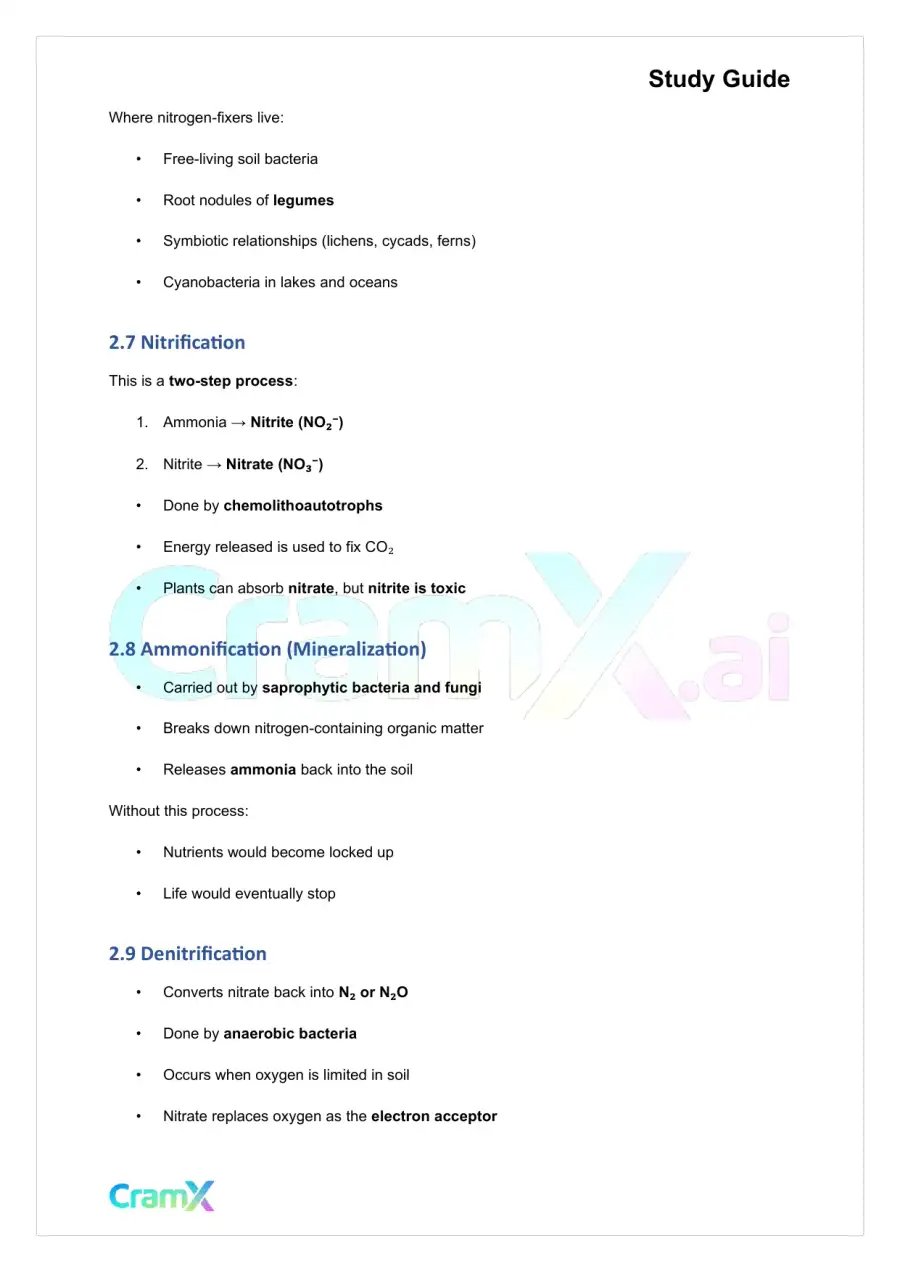 Plant Biology - Prokaryotes and Viruses, page 8