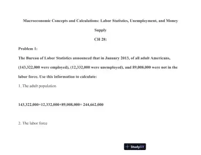 Macroeconomic Concepts and Calculations: Labor Statistics, Unemployment, and Money Supply - Page 1 preview image