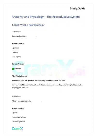 Anatomy and Physiology - The Reproductive System - Page 1 preview image