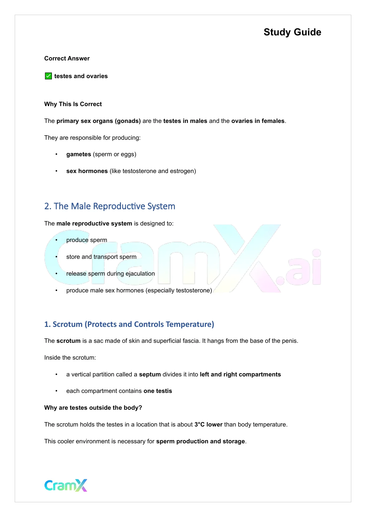 Anatomy and Physiology - The Reproductive System - Page 2 preview image