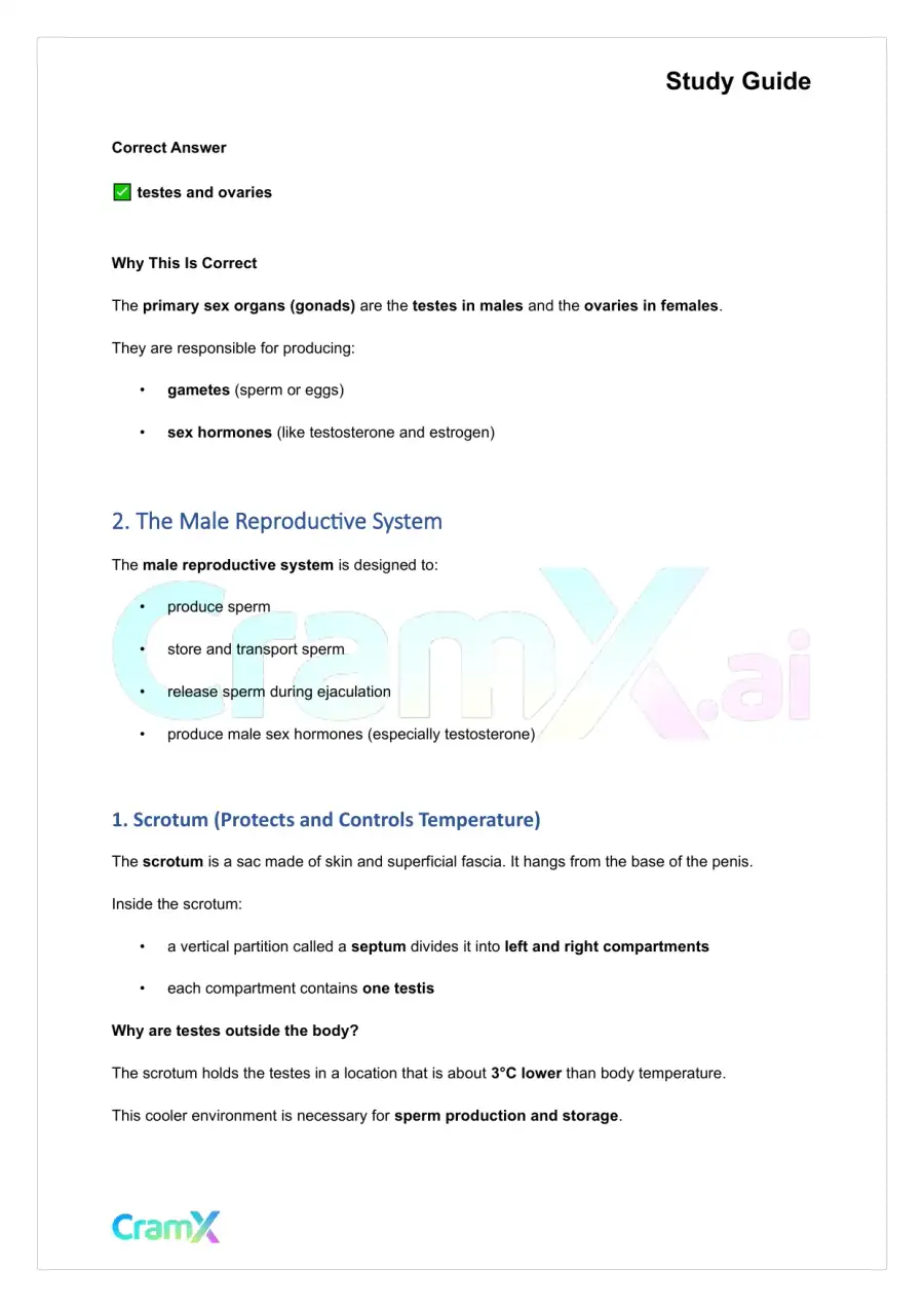 Anatomy and Physiology - The Reproductive System, page 2