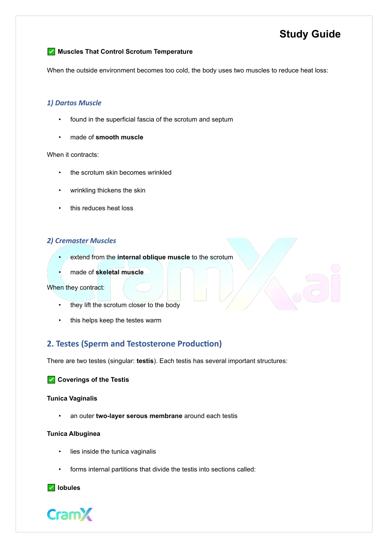 Anatomy and Physiology - The Reproductive System - Page 3 preview image