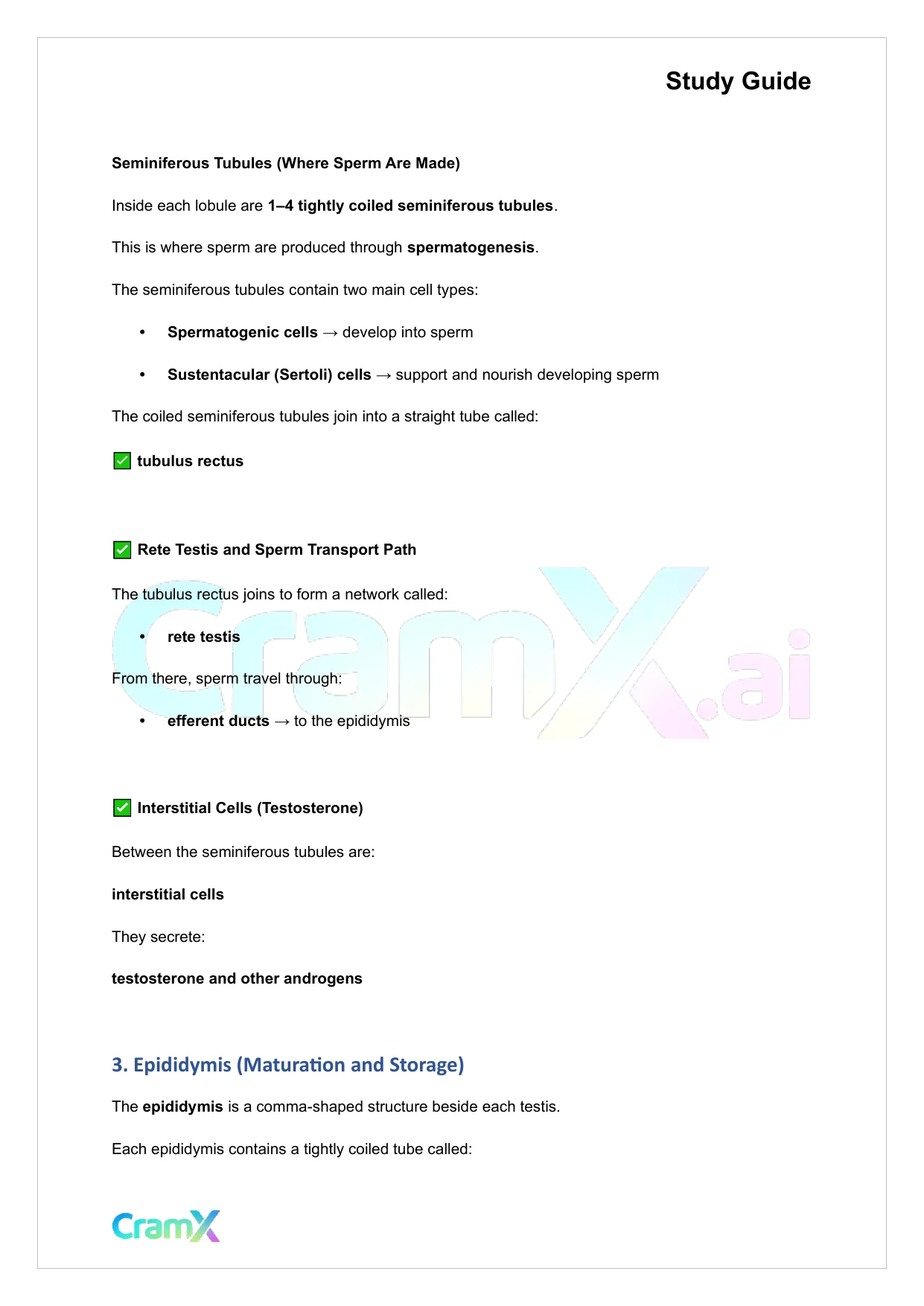 Anatomy and Physiology - The Reproductive System - Page 4 preview image