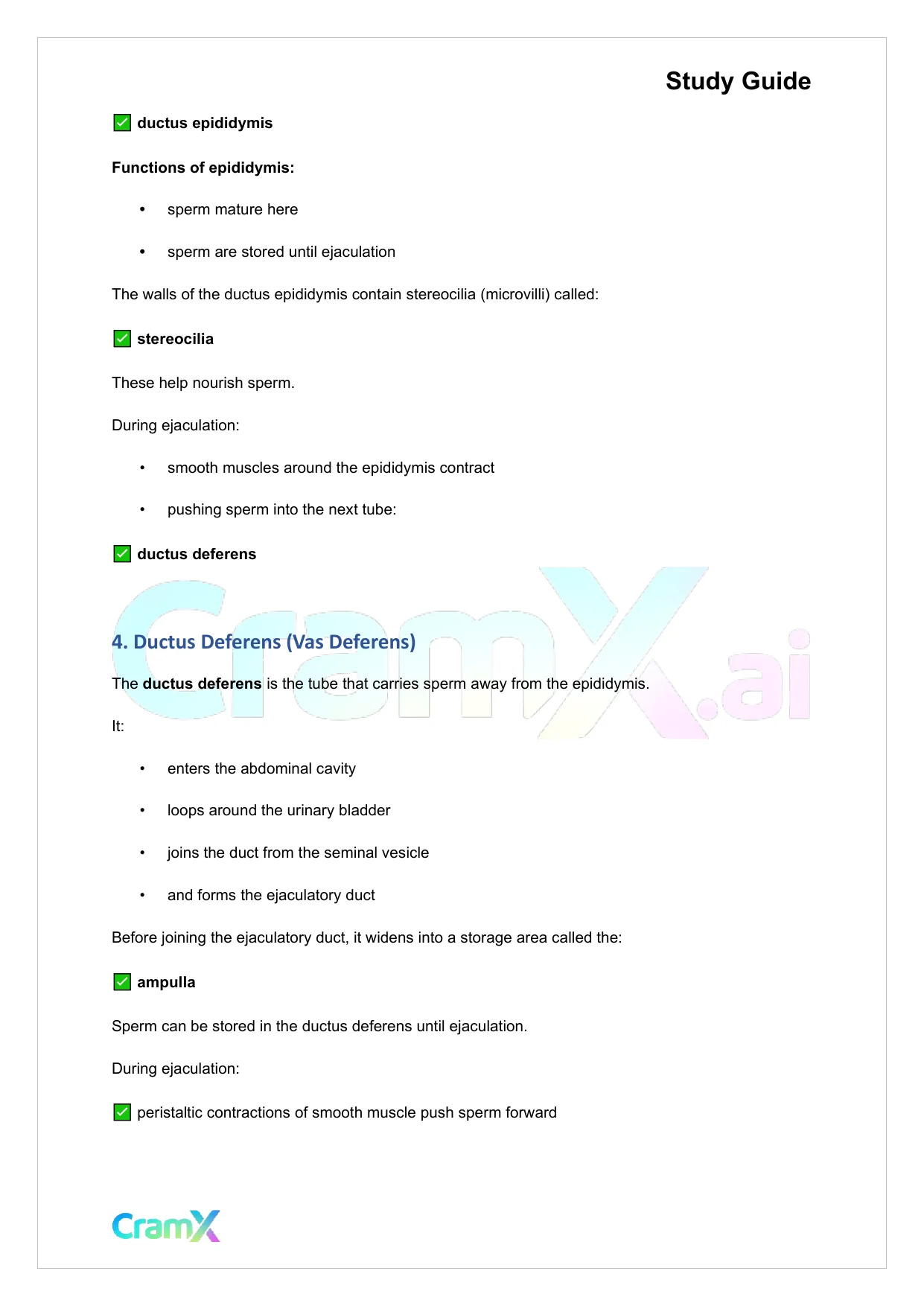 Anatomy and Physiology - The Reproductive System - Page 5 preview image