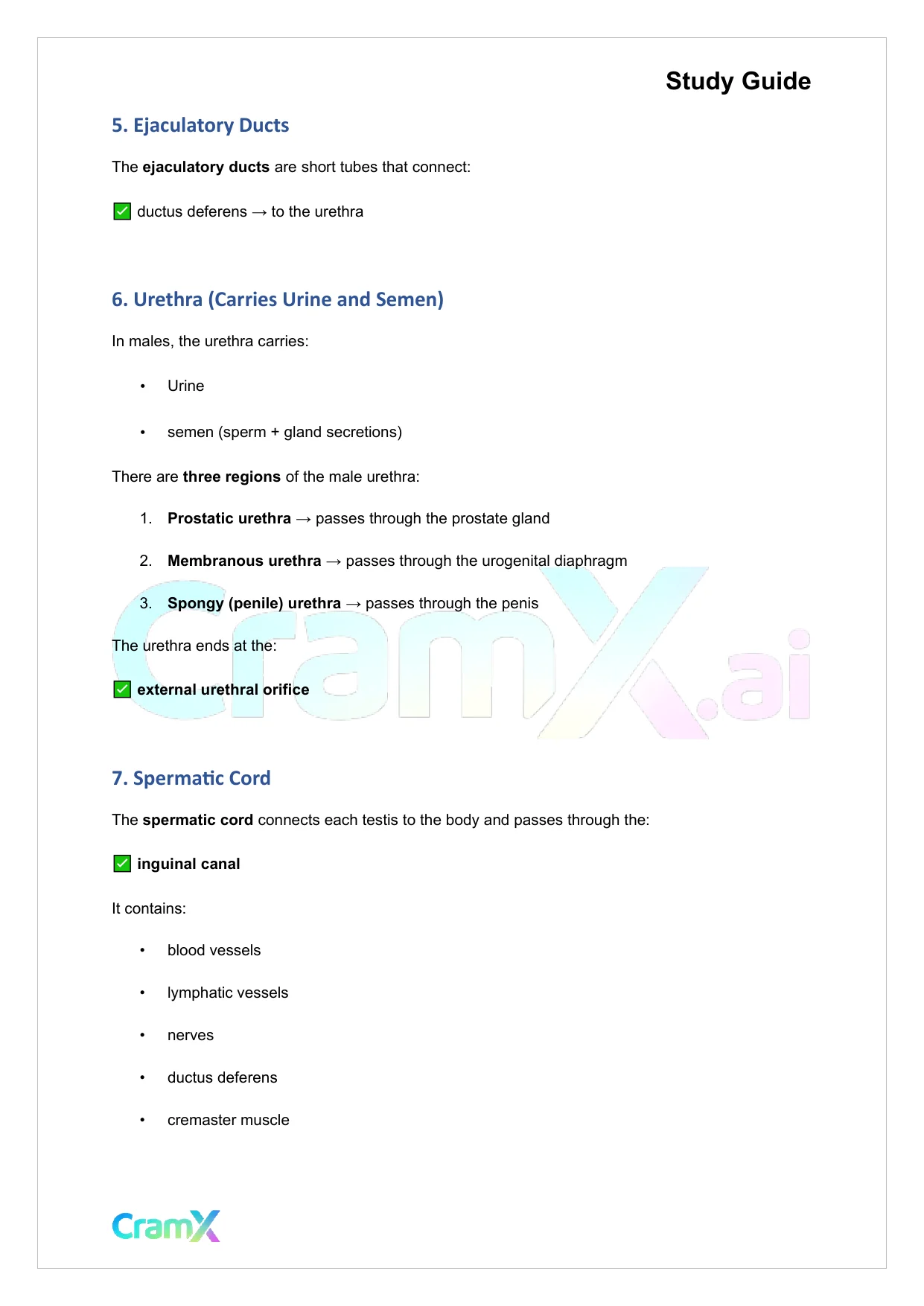 Anatomy and Physiology - The Reproductive System - Page 6 preview image