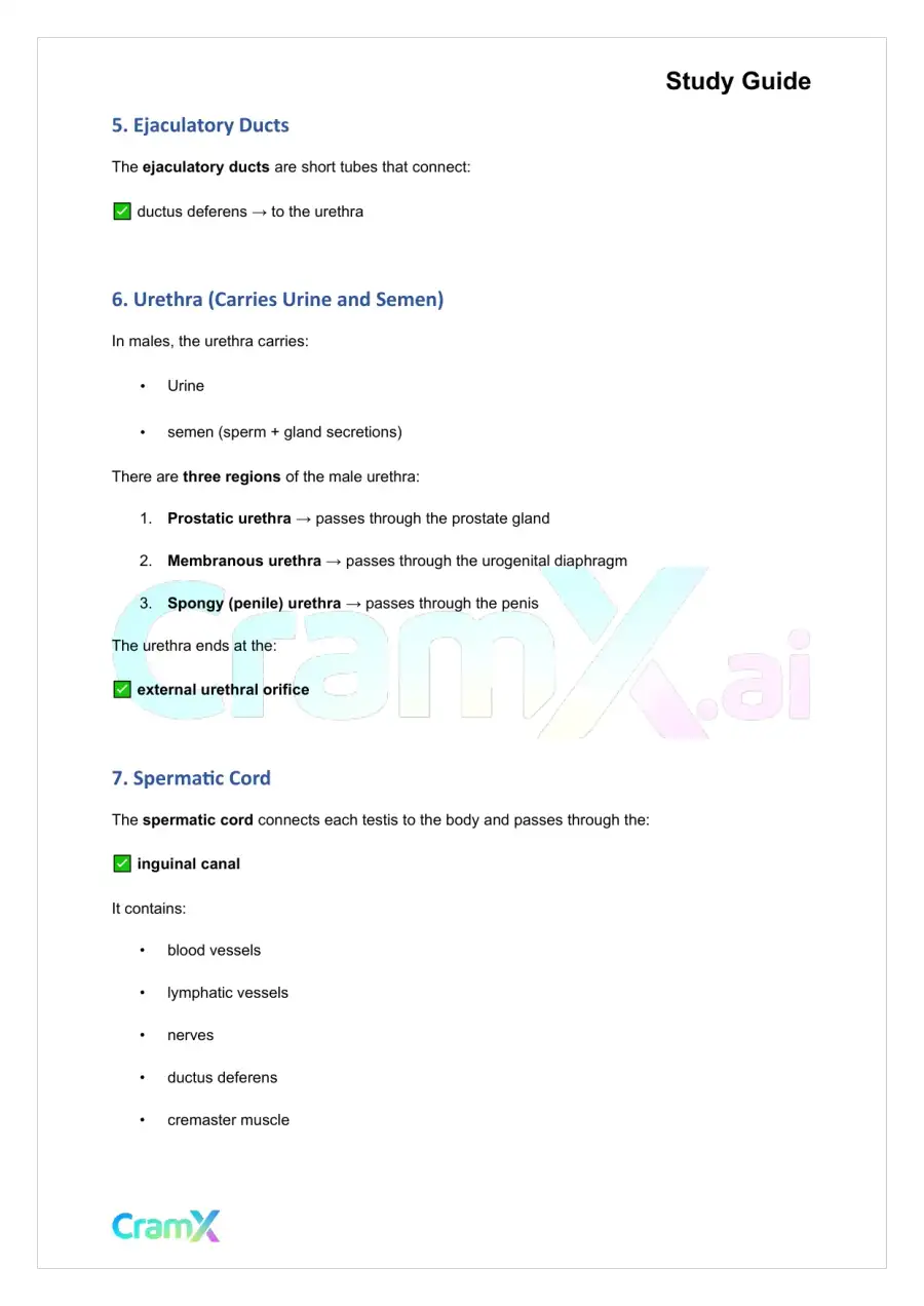 Anatomy and Physiology - The Reproductive System, page 6