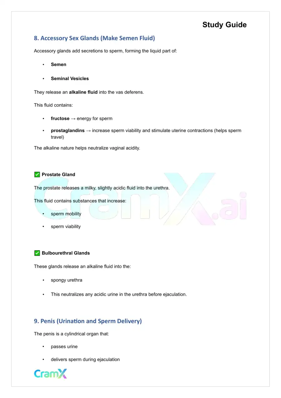 Anatomy and Physiology - The Reproductive System, page 7