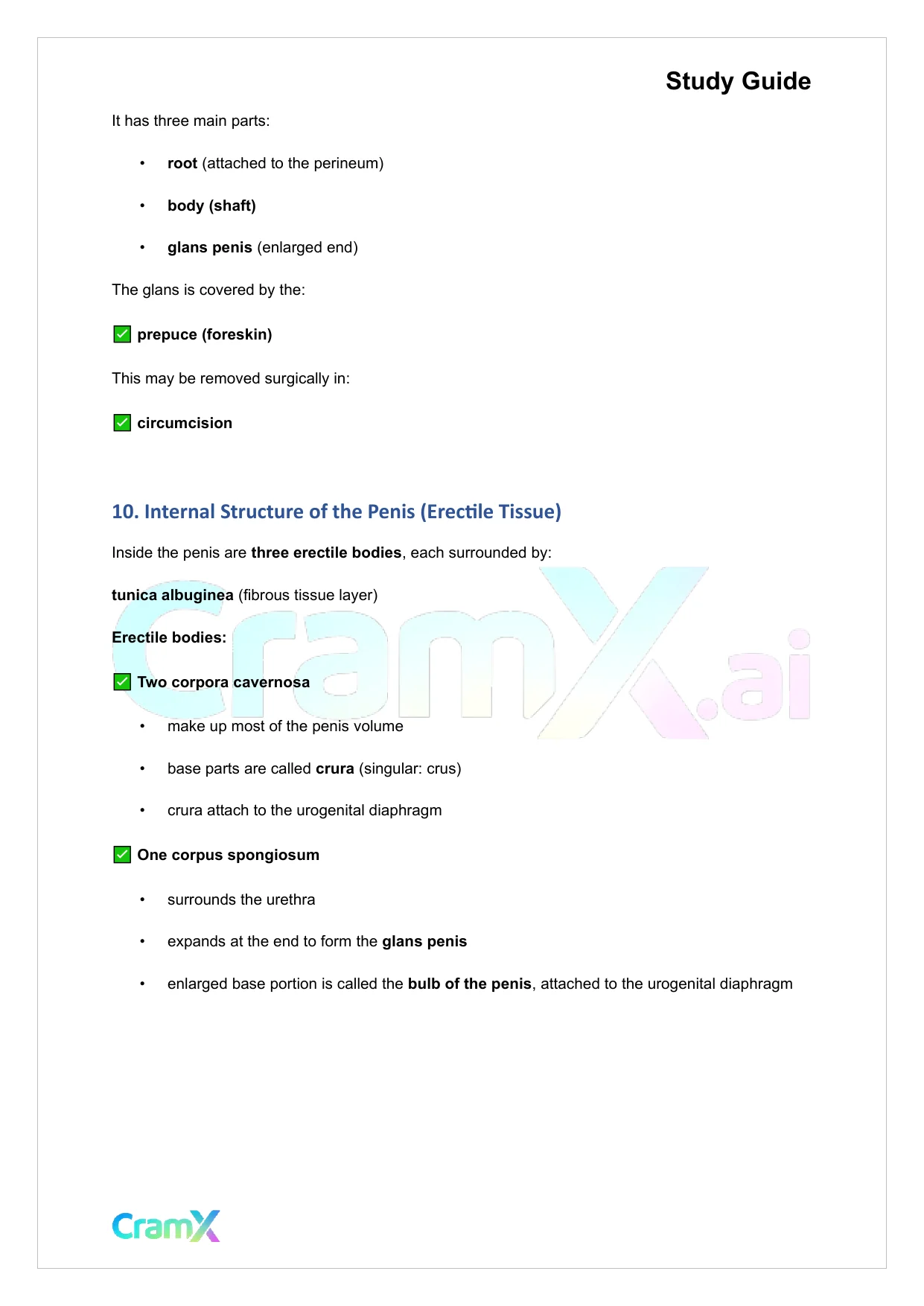 Anatomy and Physiology - The Reproductive System - Page 8 preview image