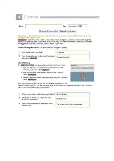 Student Exploration of the Digestive System with G - Page 1 preview image