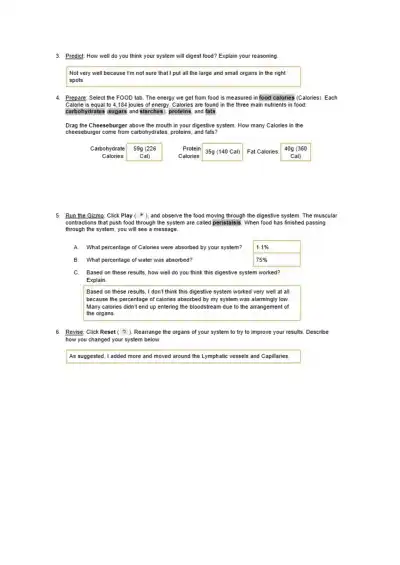 Student Exploration of the Digestive System with G - Page 3 preview image