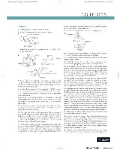 Solution Manual For Essential Biochemistry, 4th Edition - Page 1 preview image