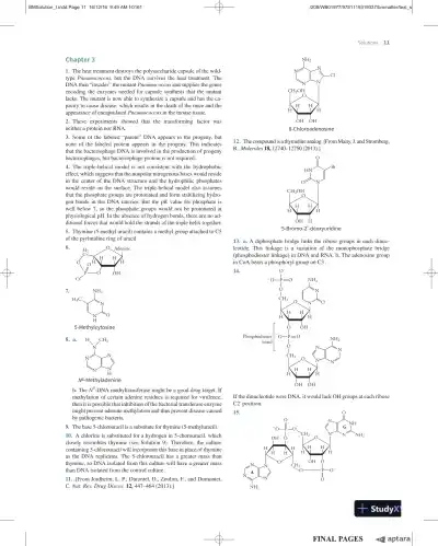 Solution Manual For Essential Biochemistry, 4th Edition - Page 12 preview image
