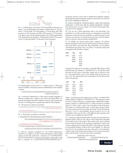 Solution Manual For Essential Biochemistry, 4th Edition - Page 16 preview image