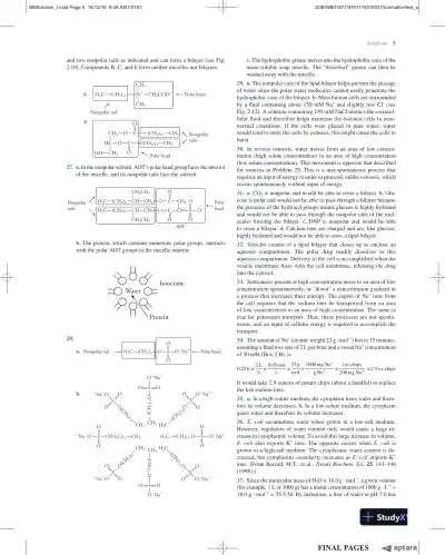 Solution Manual For Essential Biochemistry, 4th Edition - Page 6 preview image