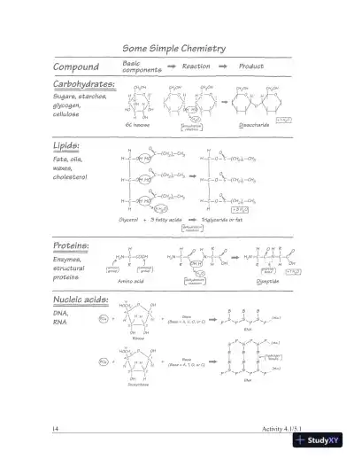 Solution Manual For Campbell Biology, 9th Edition - Page 15 preview image