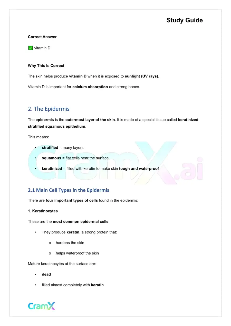 Anatomy and Physiology - The Integumentary System, page 2