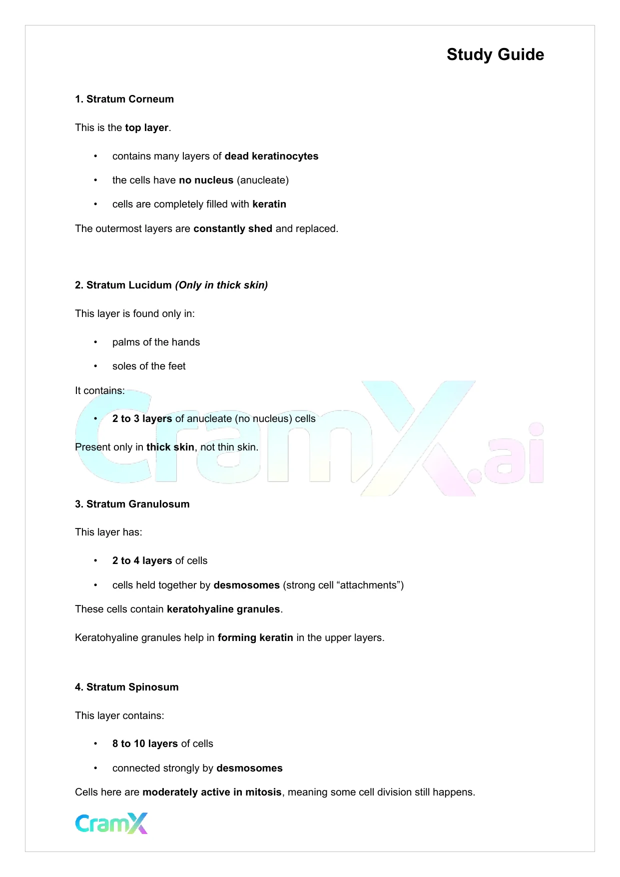 Anatomy and Physiology - The Integumentary System - Page 4 preview image