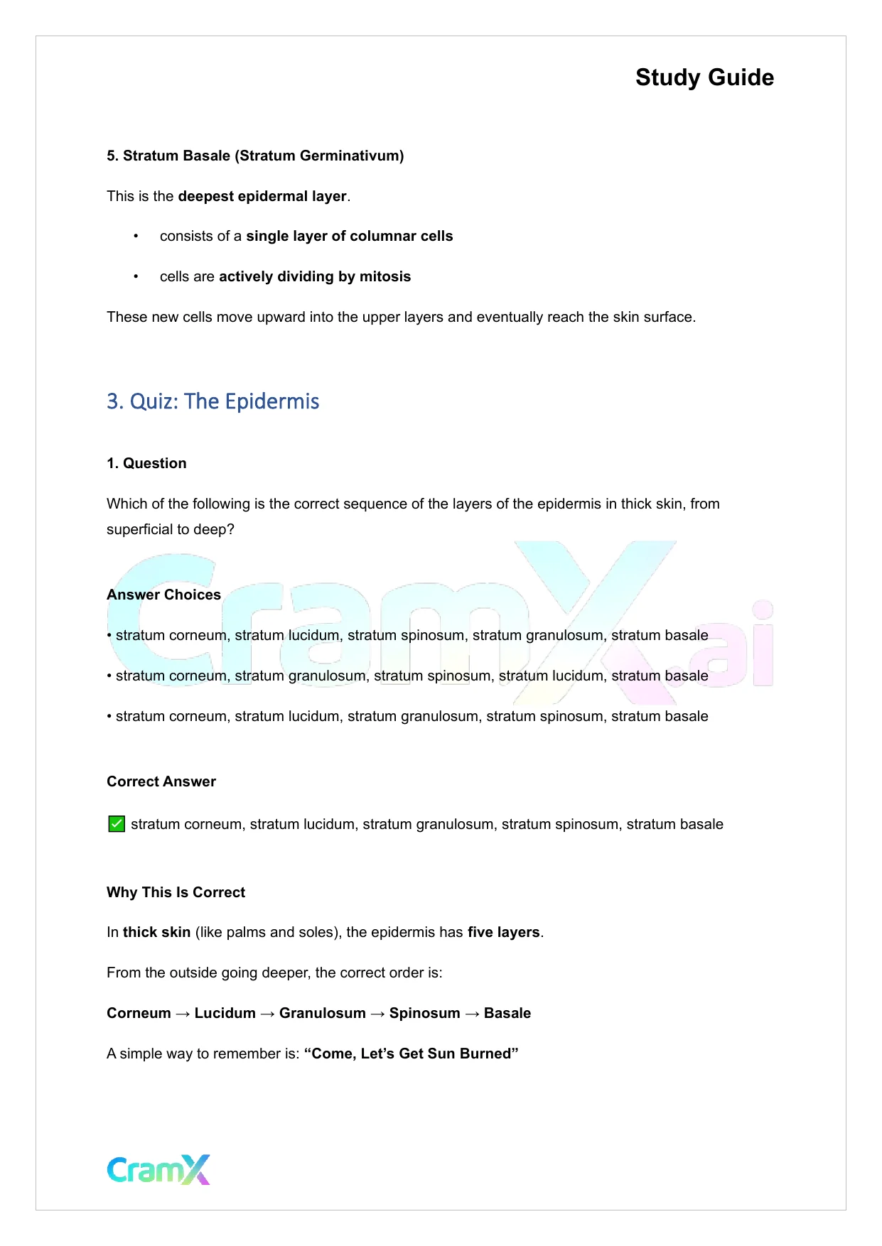 Anatomy and Physiology - The Integumentary System - Page 5 preview image