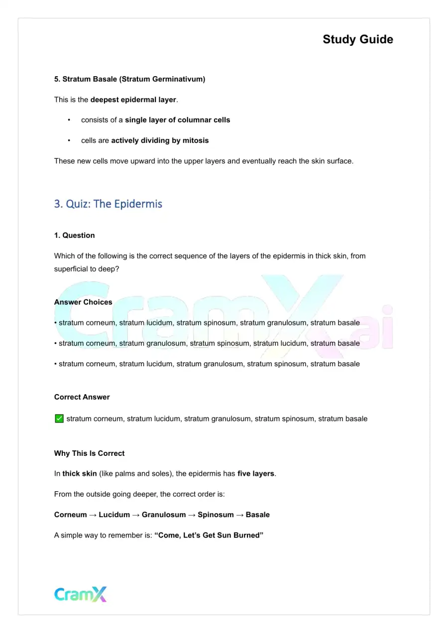 Anatomy and Physiology - The Integumentary System, page 5