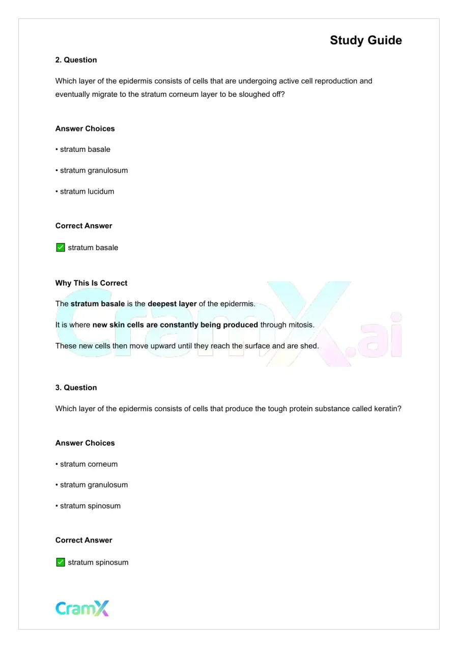 Anatomy and Physiology - The Integumentary System, page 6