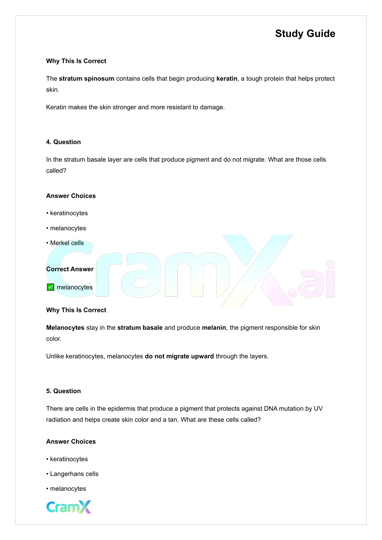 Anatomy and Physiology - The Integumentary System - Page 7 preview image