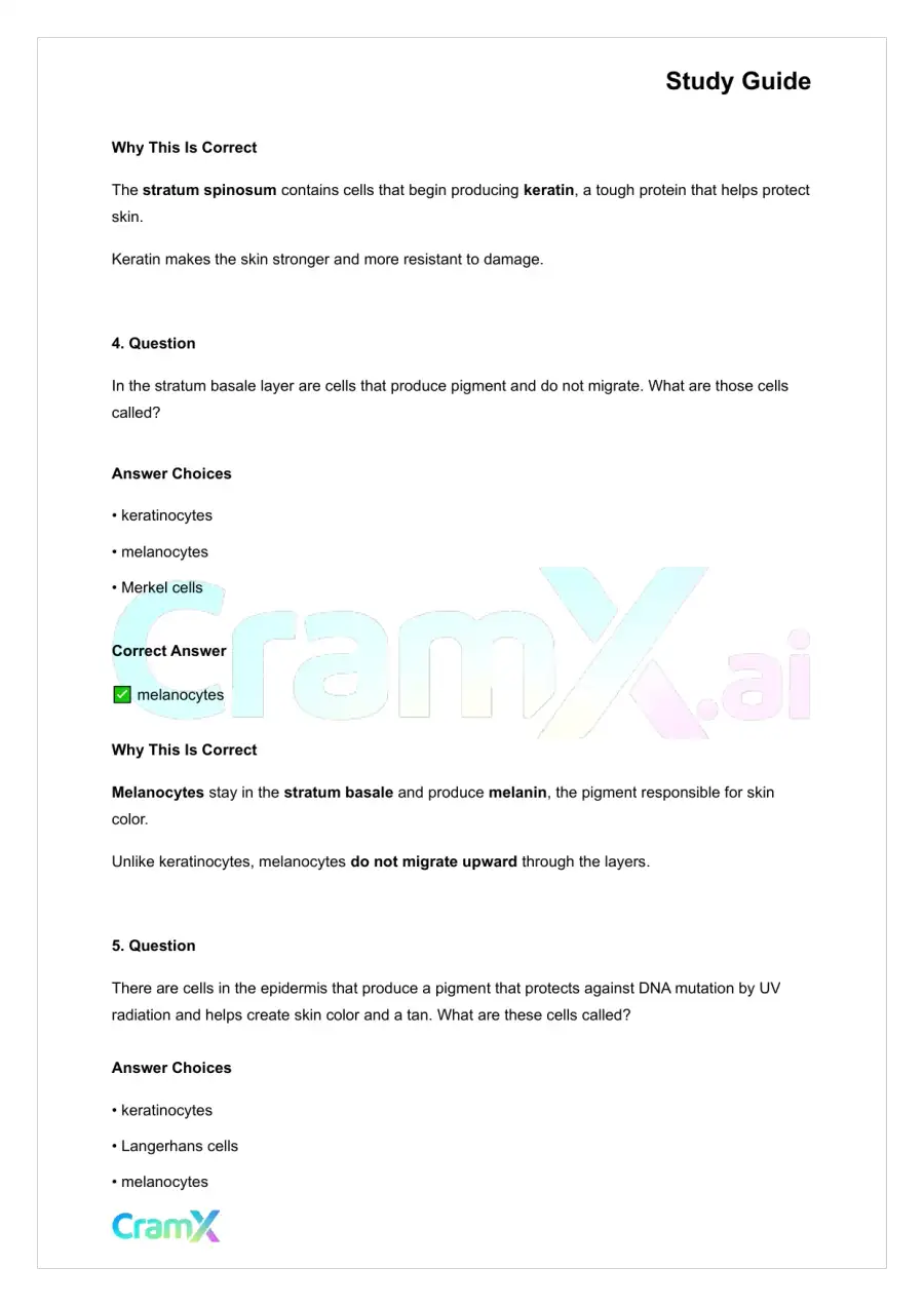 Anatomy and Physiology - The Integumentary System, page 7