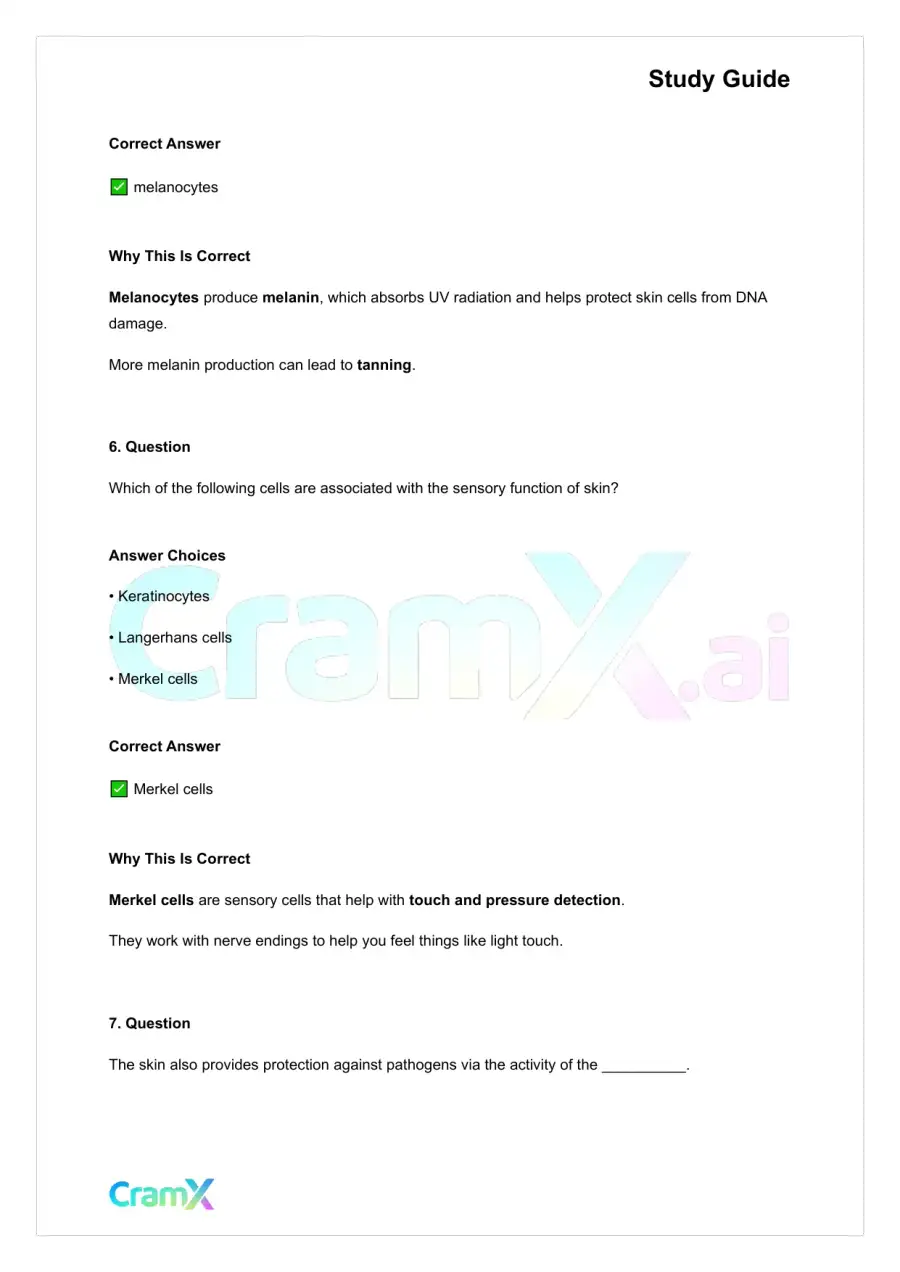 Anatomy and Physiology - The Integumentary System, page 8