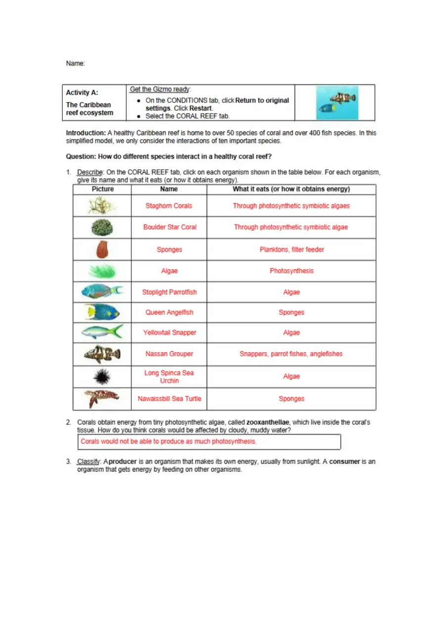 Exploring Coral Reefs Understanding Abiotic Factor, page 2