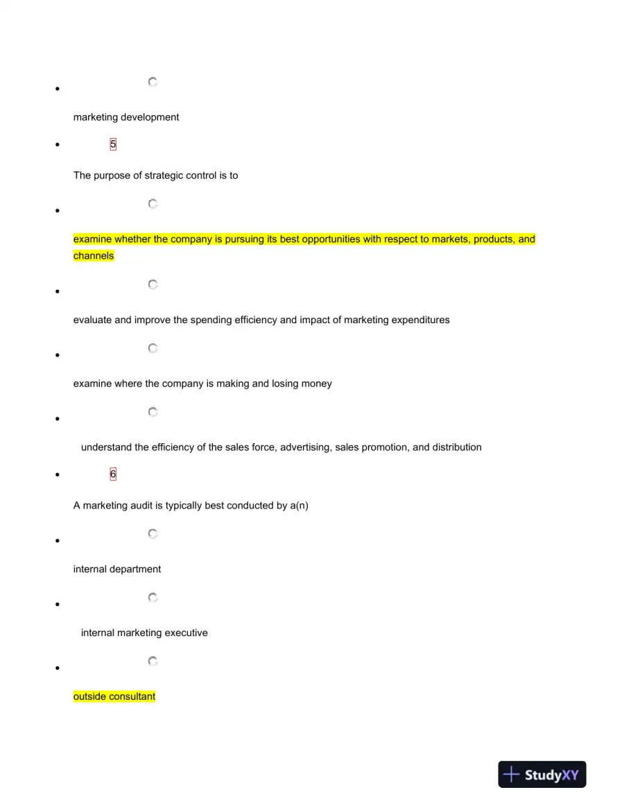 Marketing Strategy and Audit Concepts: Multiple Choice Assessment, page 4