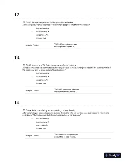 Financial Accounting: A Critical Approach 2013, 4th Edition Test Bank - Page 6 preview image