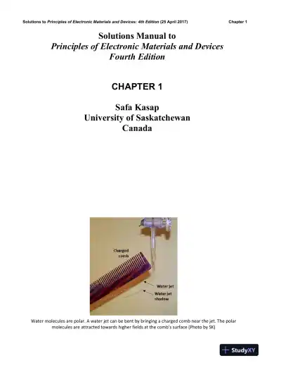 Solution Manual for Principles Of Electronic Materials And Devices, 4th Edition - Page 1 preview image