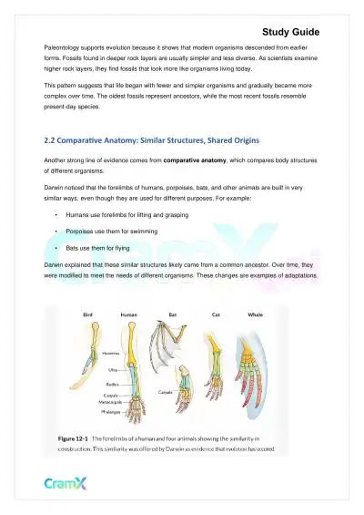 Biology - Principles of Evolution - Page 4 preview image
