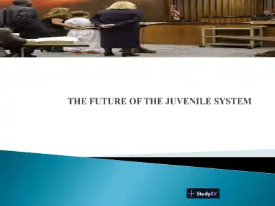 The Future Of The Juvenile System - Page 1 preview image