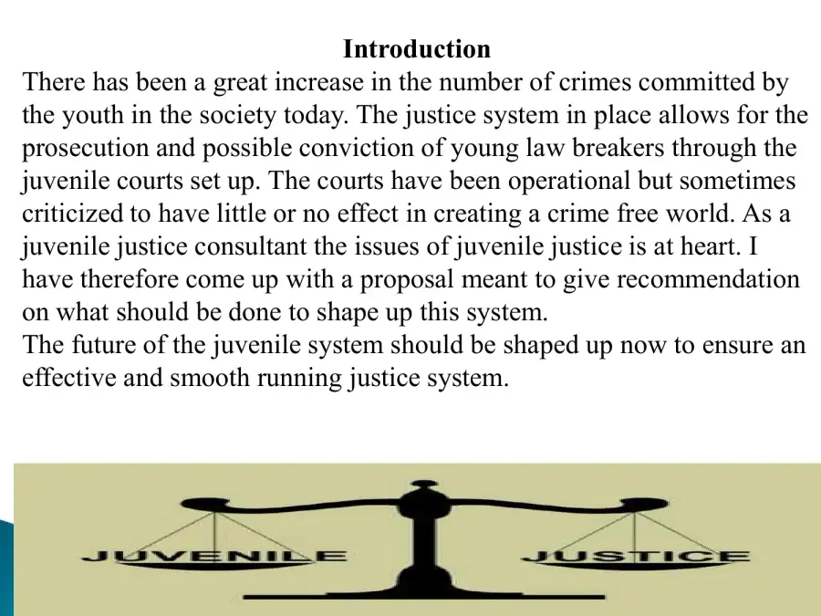 The Future Of The Juvenile System, page 2