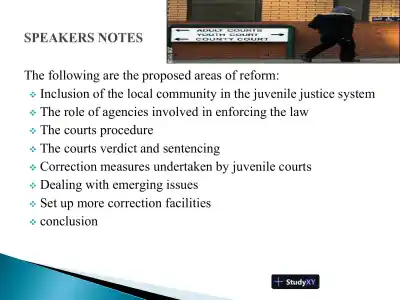 The Future Of The Juvenile System - Page 3 preview image