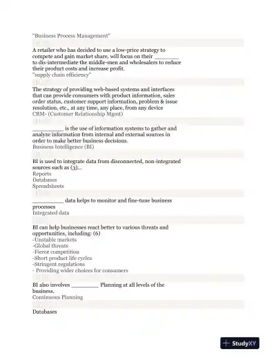 MIS 2101- Spring 2015 Final Exam - Page 3 preview image