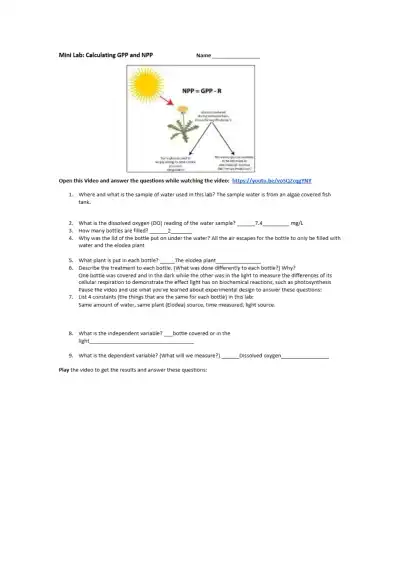 Calculating GPP and NPP - Page 1 preview image