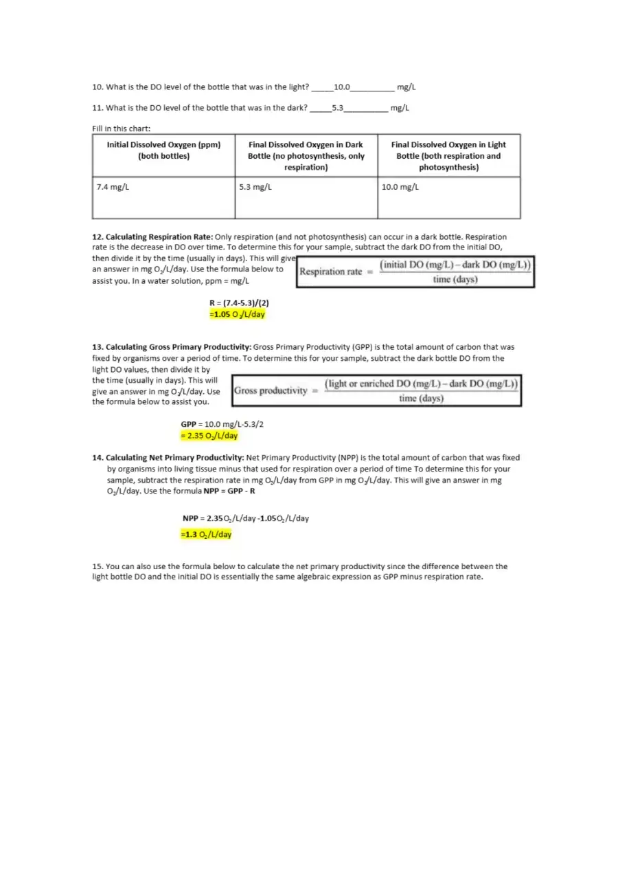 Calculating GPP and NPP, page 2