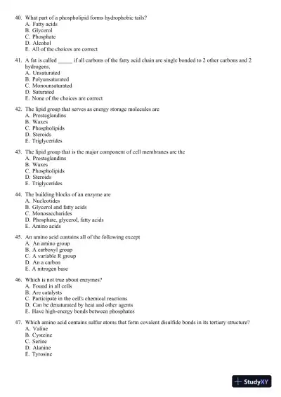 Test Bank For Microbiology: A Systems Approach, 3rd Edition - Page 23 preview image