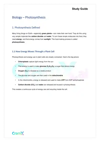 Biology - Photosynthesis - Page 1 preview image