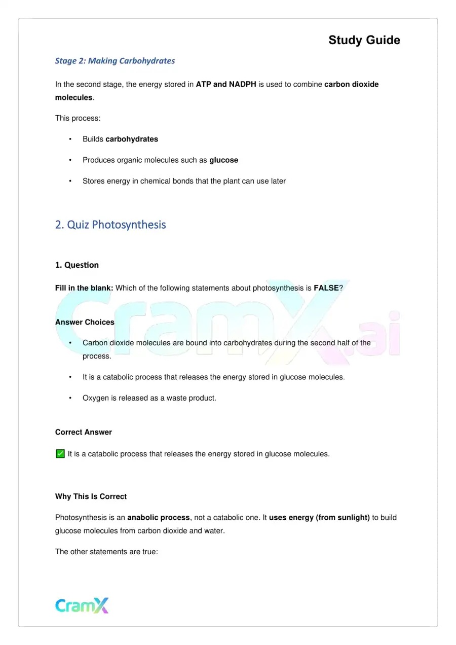 Biology - Photosynthesis, page 3