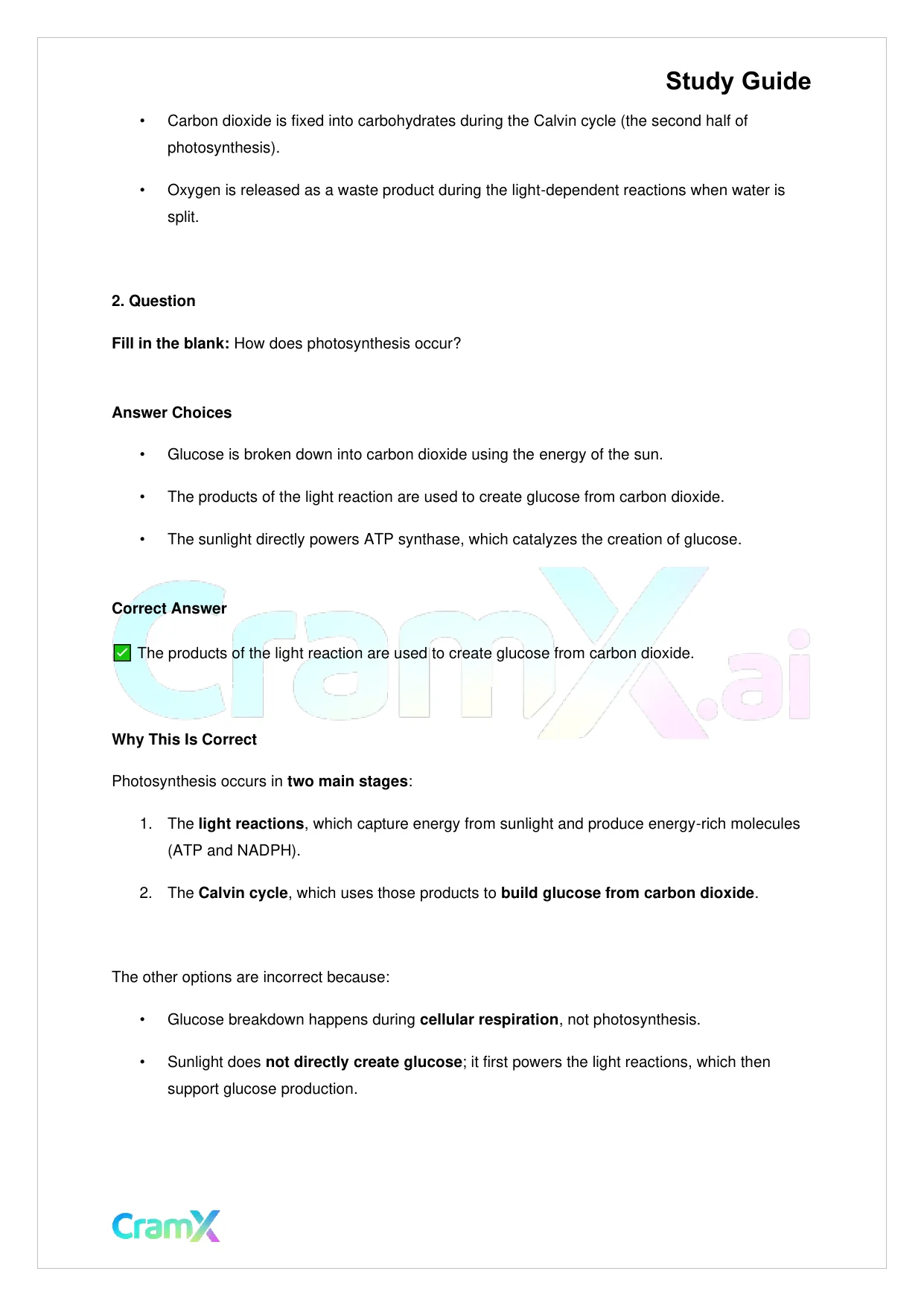 Biology - Photosynthesis - Page 4 preview image