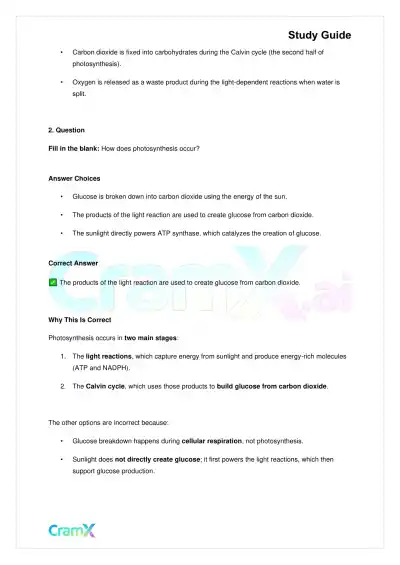 Biology - Photosynthesis - Page 4 preview image
