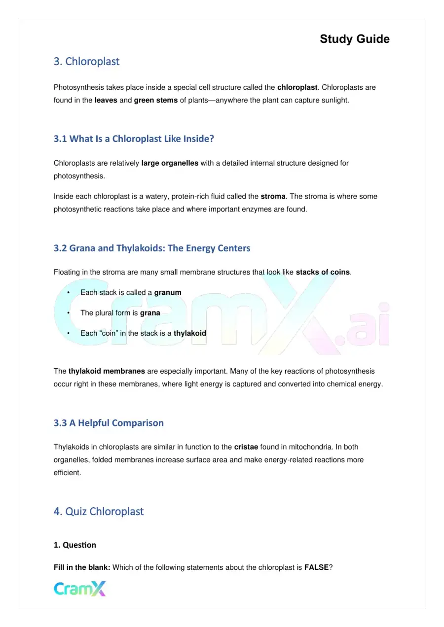 Biology - Photosynthesis, page 5