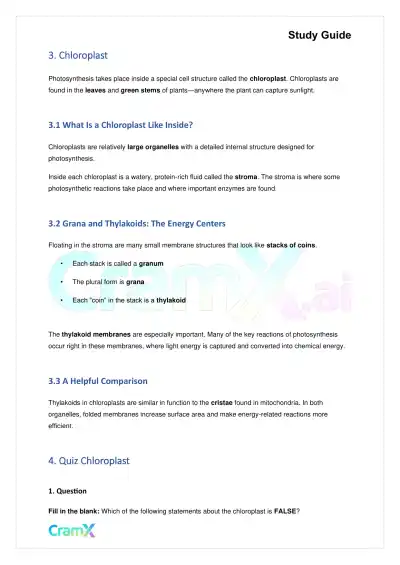 Biology - Photosynthesis - Page 5 preview image